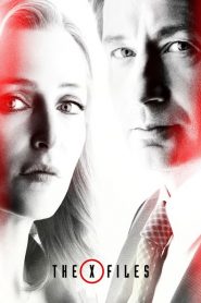 The X-Files: Season 11
